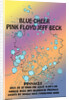 Pink Floyd Bubbles Poster by Rokpool